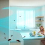 Repelente electromagnético de cucarachas: eficacia y consejos